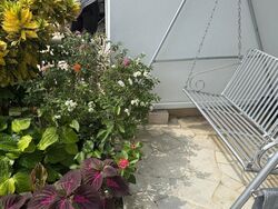 Lorong K Telok Kurau (D15), Terrace #496173211